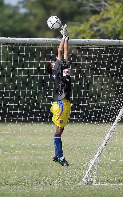 尔特人领跑 尔特人领跑