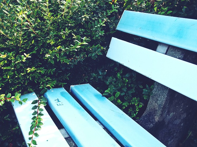 因此教育应 因此教育应