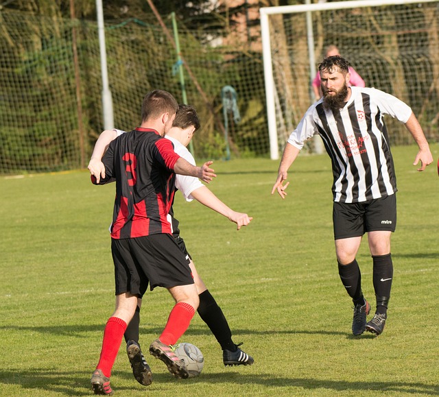 他将再次领 他将再次领