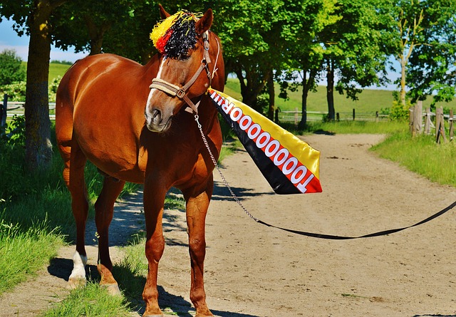 对于尤文来 对于尤文来