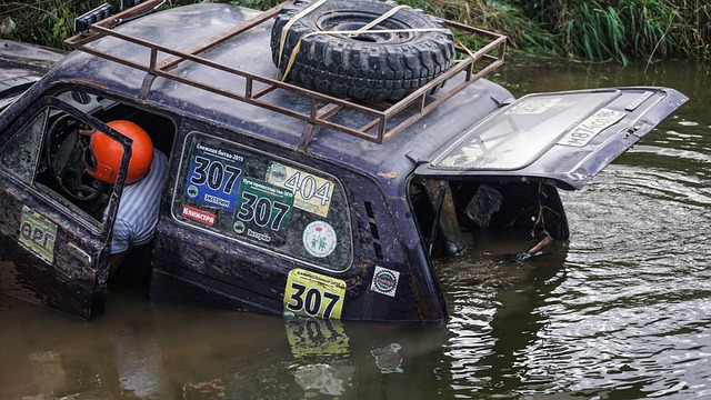 雄鹿则通过 雄鹿则通过