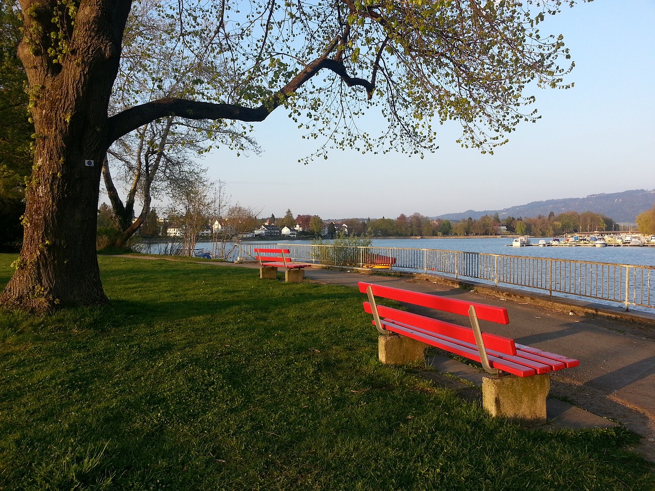 供了另一个 供了另一个